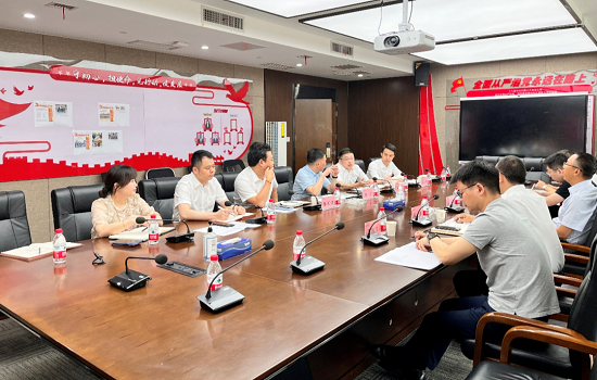 助推區(qū)域項(xiàng)目落地 深度推進(jìn)協(xié)同發(fā)展——楊冰總赴金茂智慧能源長沙公司調(diào)研